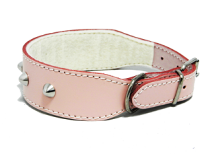 Collar Cuero Clavos Bulldog 45cm