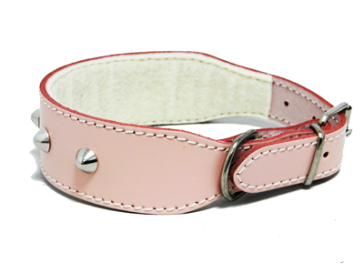Collar Cuero Clavos Bulldog 45cm
