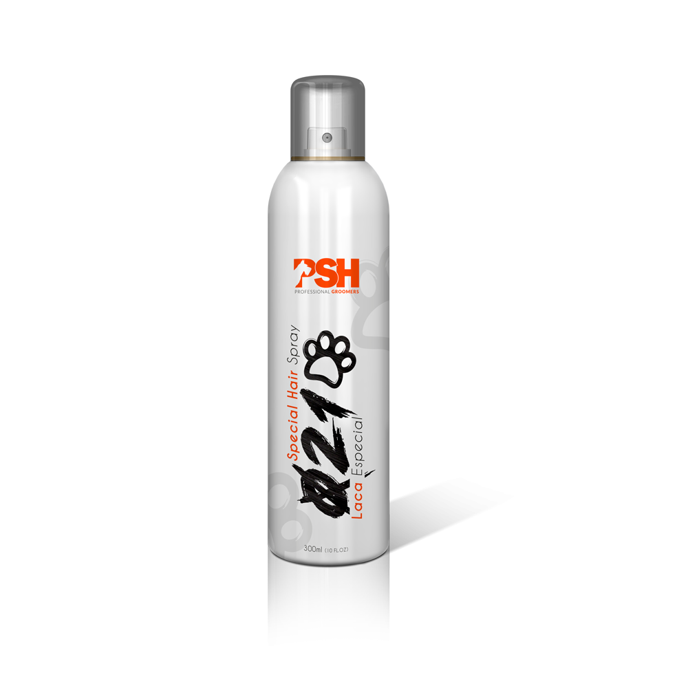 Spray 405/300ml texturizador flexible PSH