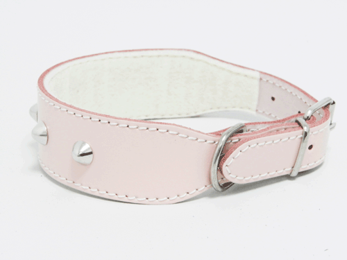 Collar Cuero Clavos Bulldog 50cm