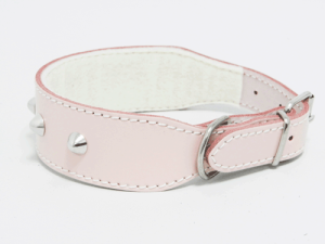 Collar Cuero Clavos Bulldog 55cm