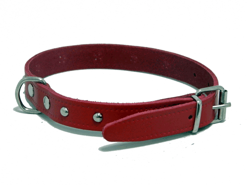 Collar Fornitura 27cm