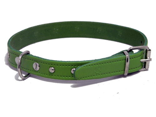 Collar Fornitura 30cm