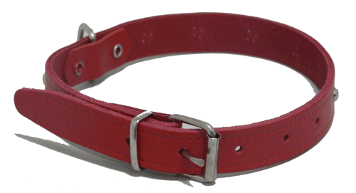 Collar Liso 40cm