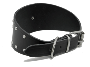 Collar Galgo c/Placa y Clavos