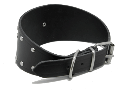Collar Galgo c/Placa y Clavos