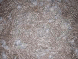 Bolsa 1kg Pelo Tropical Sisal Mix