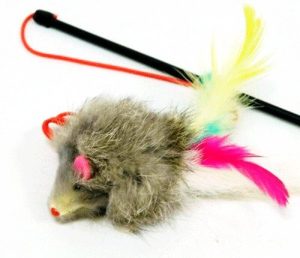 Caña Ratón con Plumas