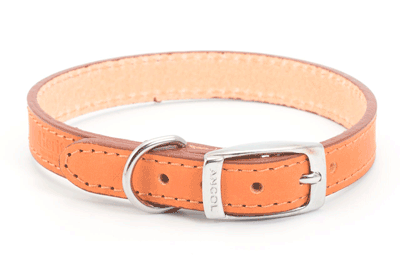 Tan Sewn Dog Collar 55CM MARRON