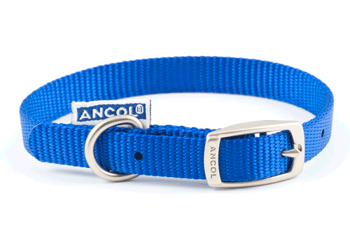 Collar nylon ANCOL AZUL 35cm Sz2