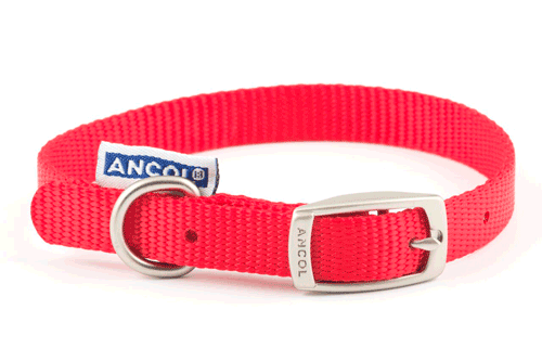Collar nylon ANCOL ROJO 35cm Sz2