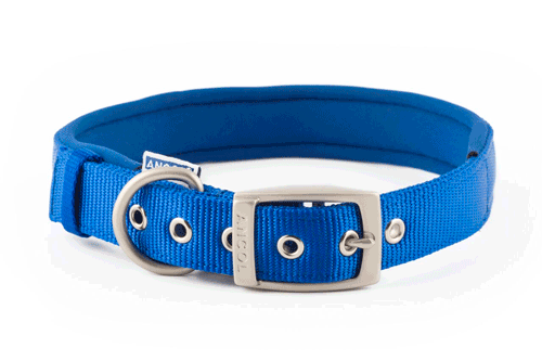 Collar nylon acolchado ANCOL AZUL 65cm Sz4