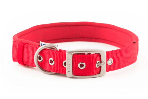 Collar nylon acolchado ANCOL ROJO 65cm Sz4