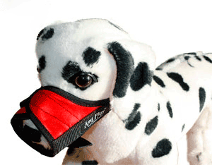 Bozal nylon-piel regulable S (N2) Foxterrier 16-20 [a] x 20-30 [b] cm Rojo-Red
