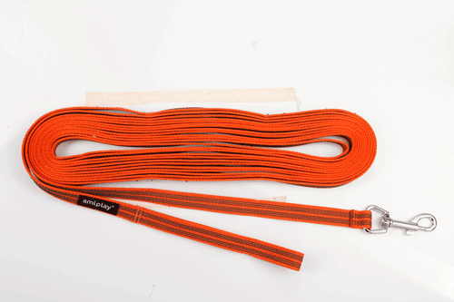 Correa adiestramiento Goma-Rubber L-XL 5 Metros x 2cm Naranja-Orange