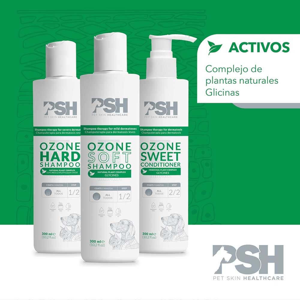 FR 1000ML Acondicionador OZONE SWEET PSH
