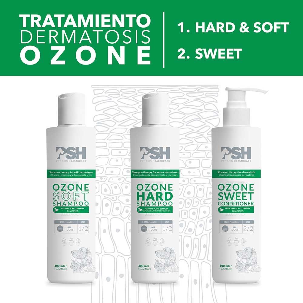 FR 1000ML Acondicionador OZONE SWEET PSH