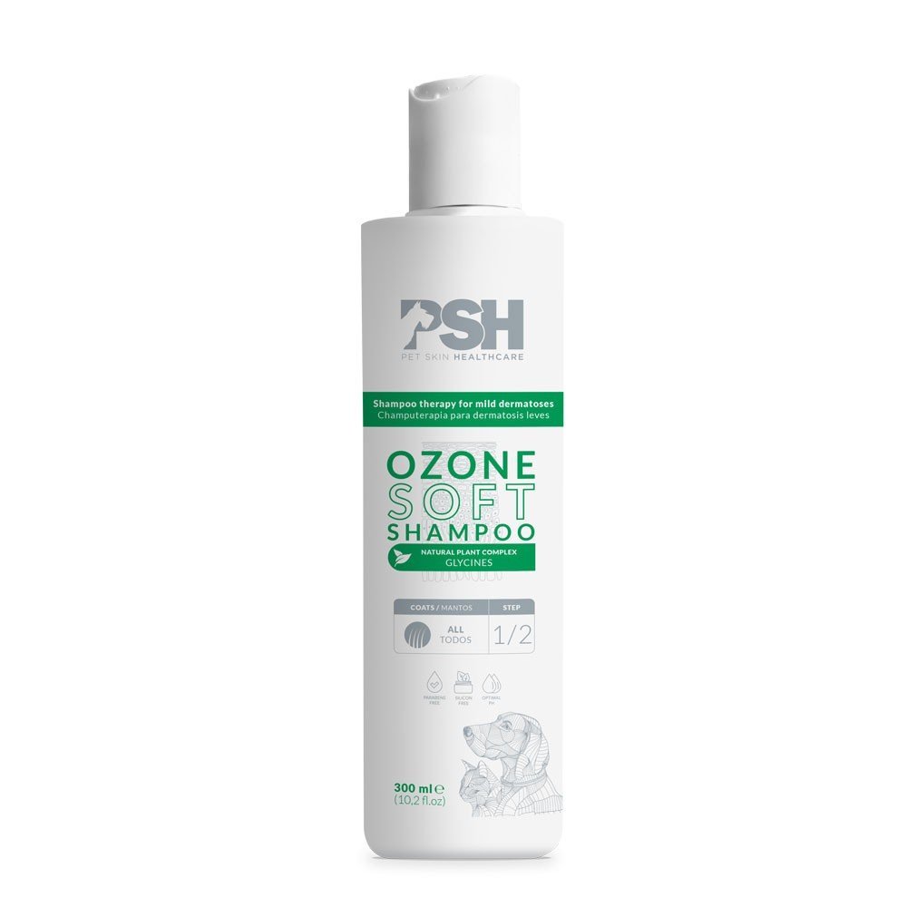 FR 300ML Champú OZONE HARD fuerte PSH