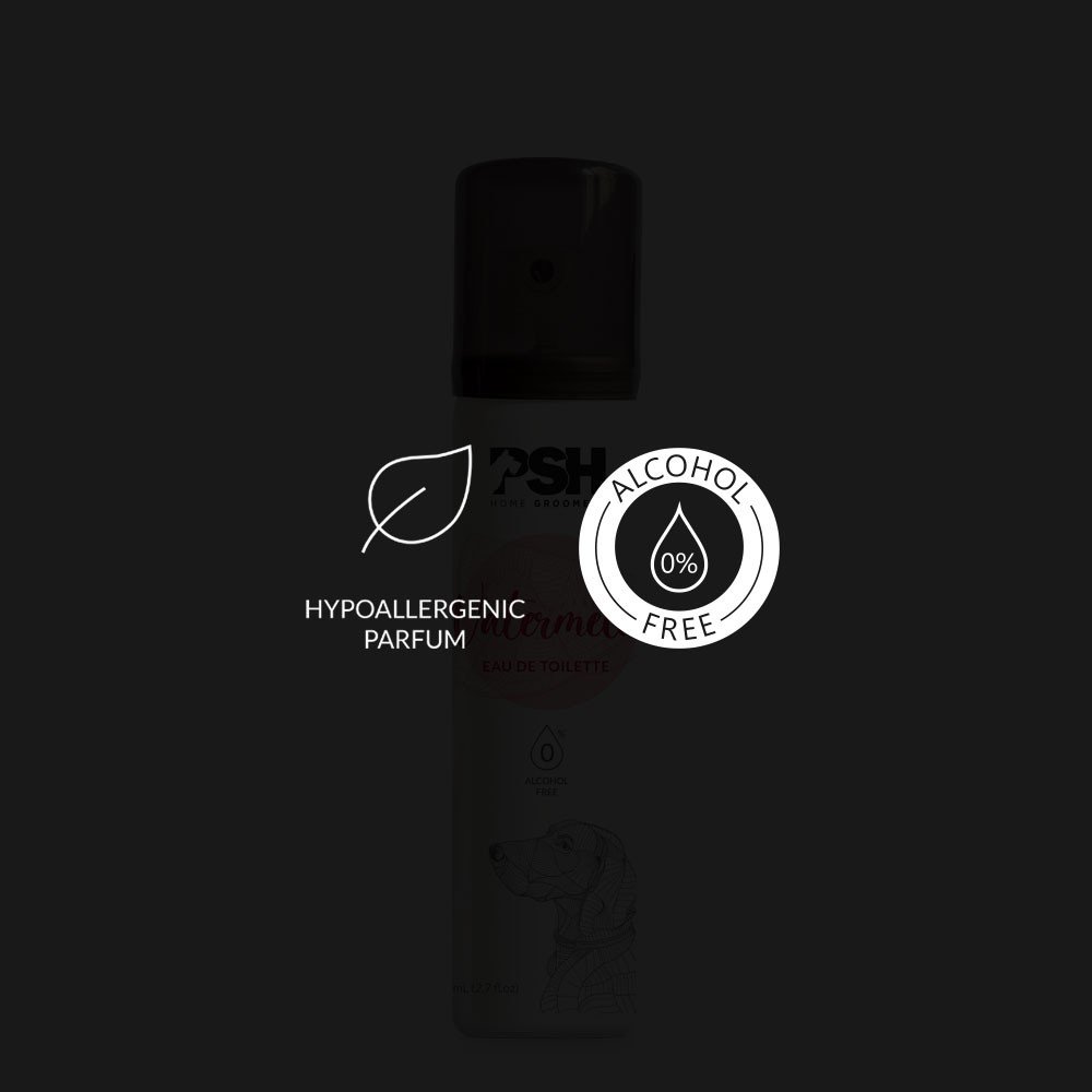 Perfume naranja orange 75ml PSH