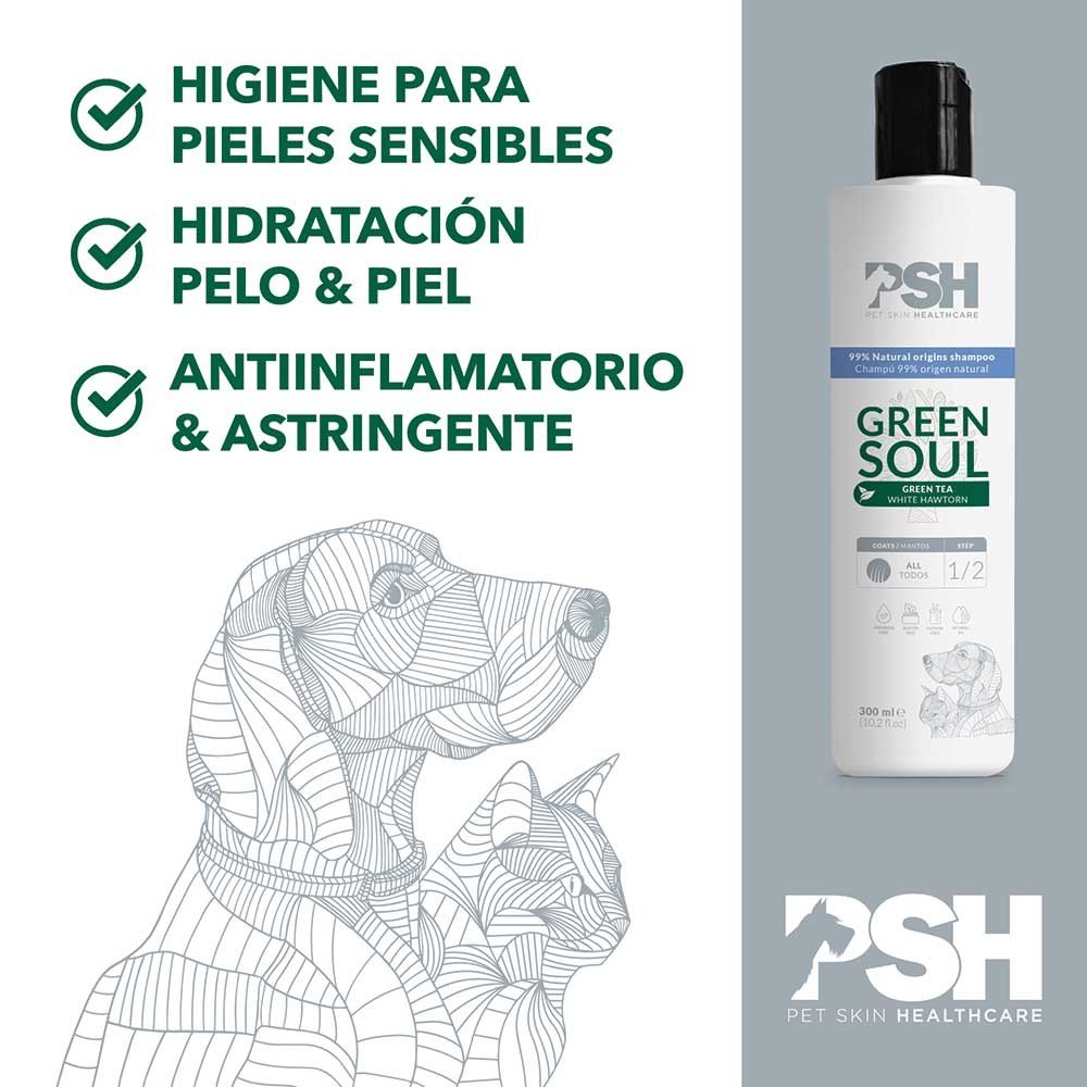 Fr 300ml acondicionador green soul conditioner PSH