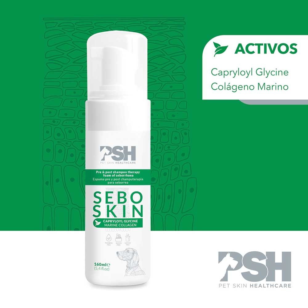 Fr 160ml espuma seborreas seborrhea specific foam PSH