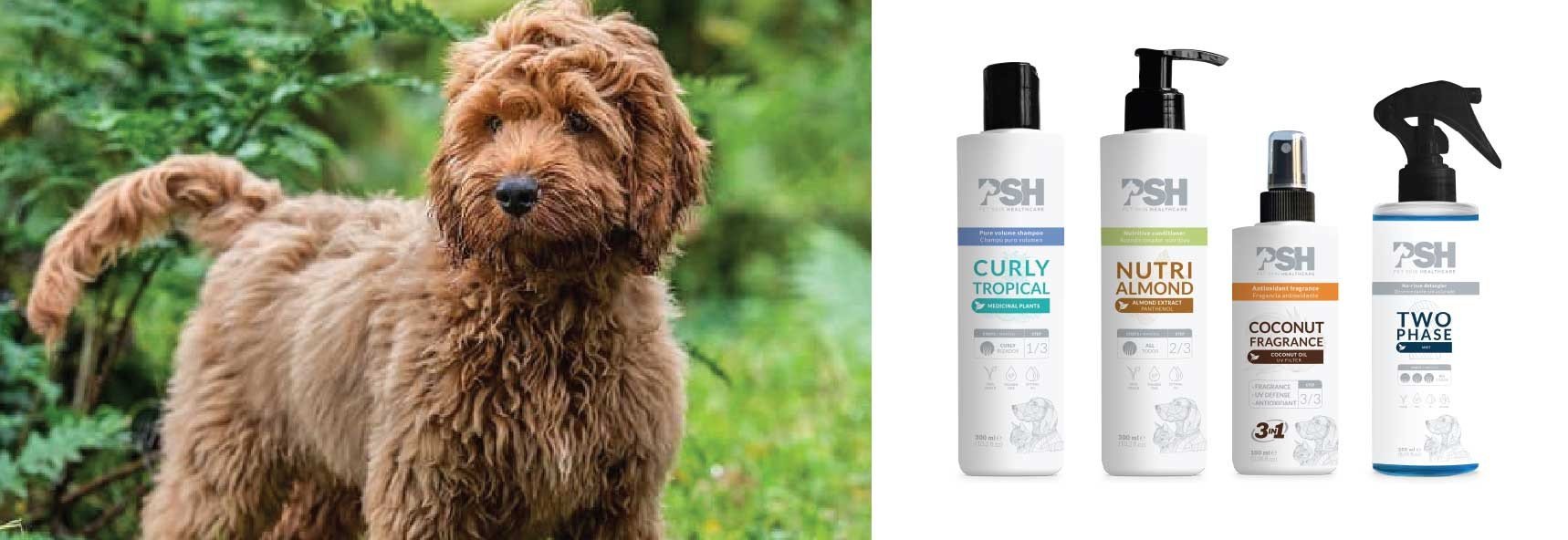 Fr 300ml champú Curly Tropical shampoo PSH