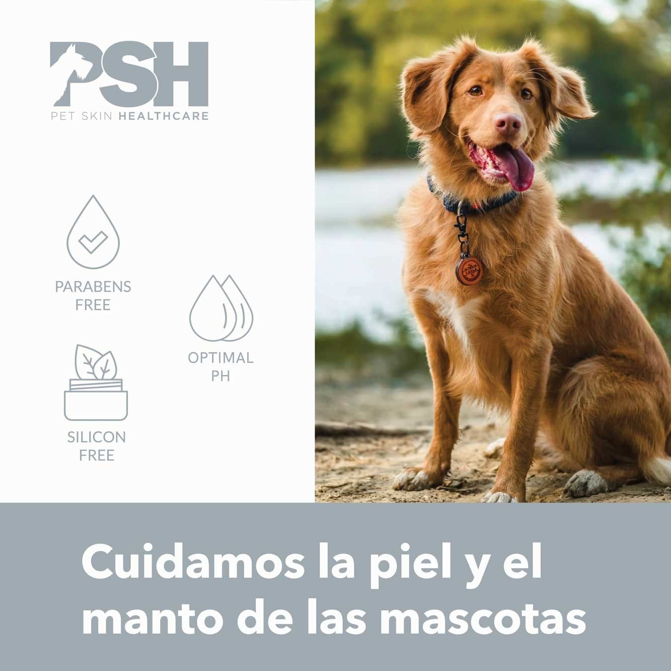FR 300ML BROWN & BLACK VIBES potenciador Dorado y marrón PSH home