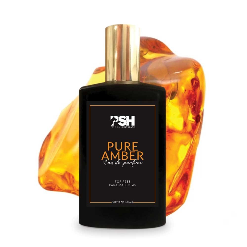 Eau de Parfum – Pure Amber 50ml PSH