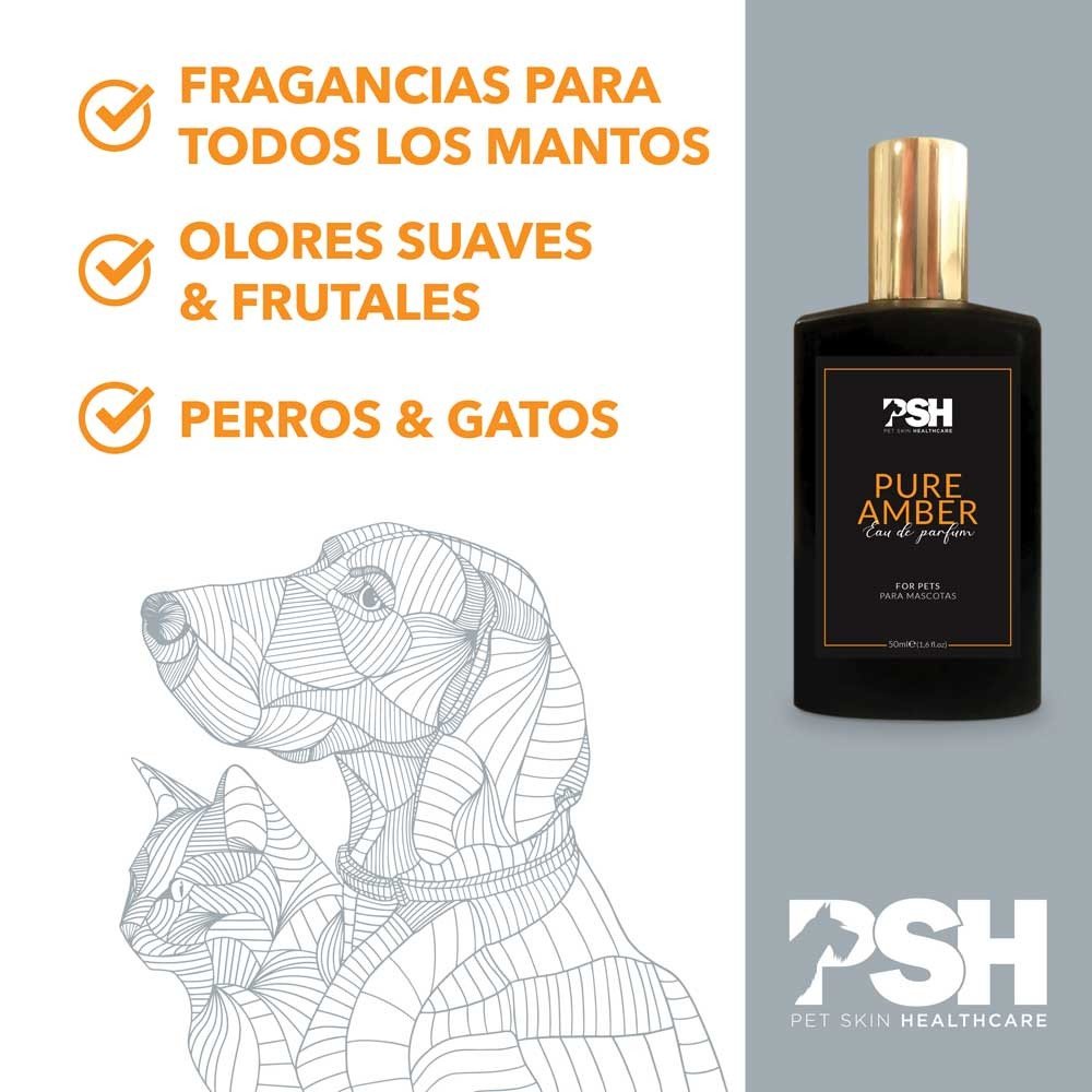 Eau de Parfum – Pure Amber 50ml PSH
