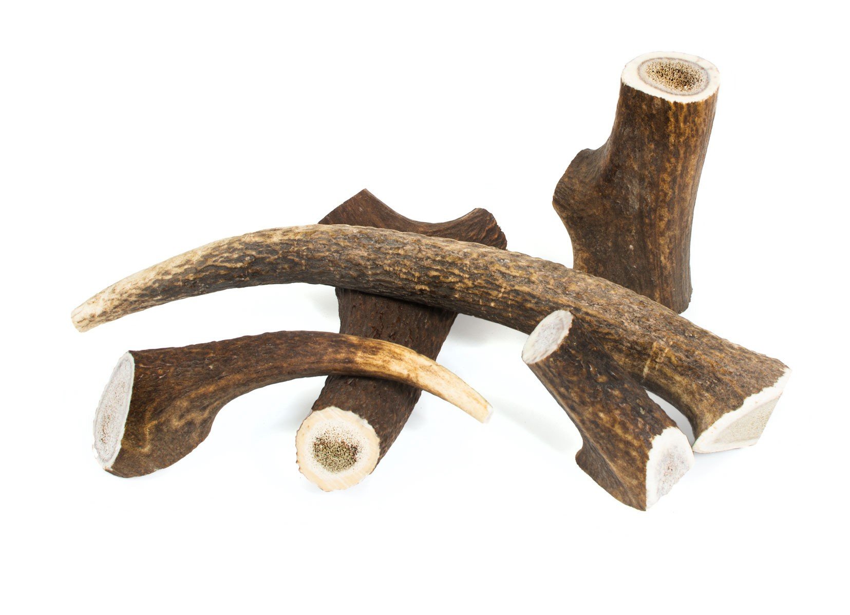 Cuerno de ciervo tamaño natural L (76-150gr)
