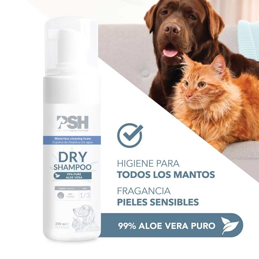 FR 200ML DRY SHAMPOO FOAM PSH PSH
