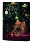 XMAS Calendrier de adviento fabricación Francesa Perro