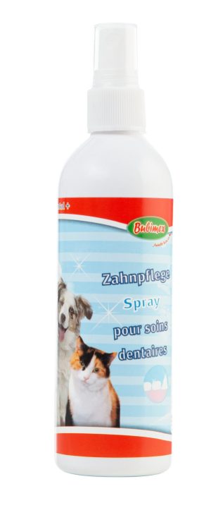 Dental+ Spray dental 175ml 6