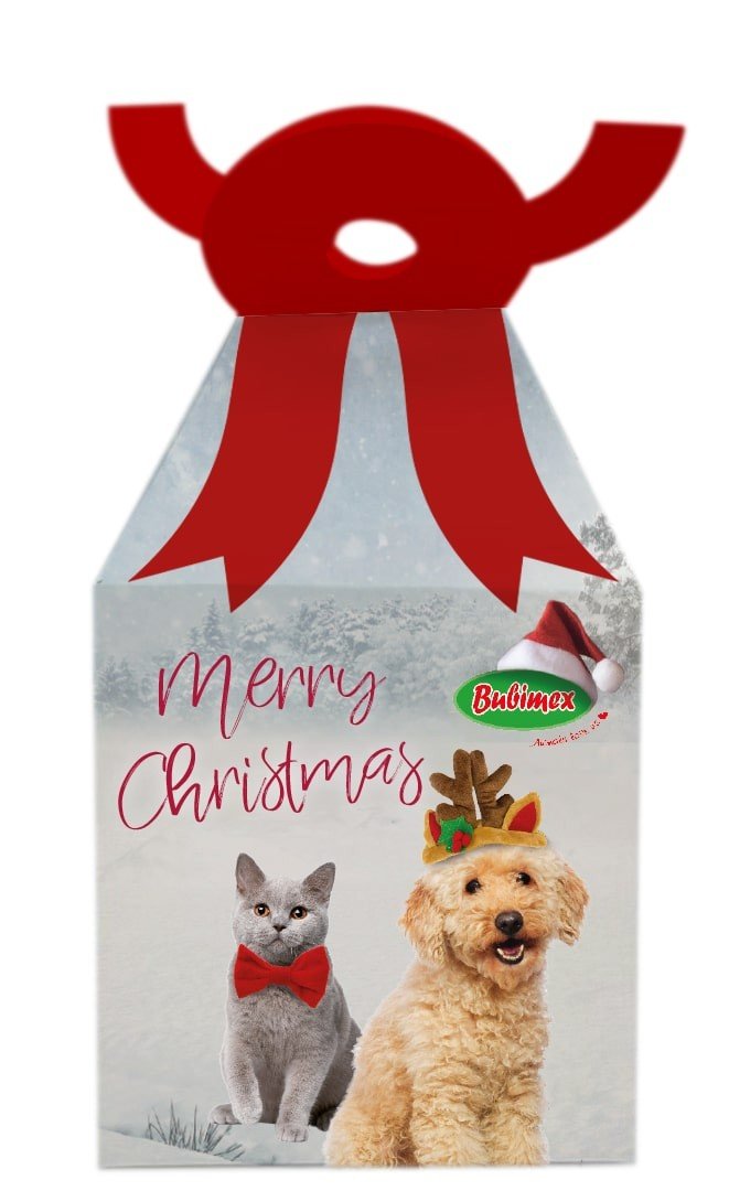 XMAS Caja regalo NAVIDAD 10x10x10cm 50