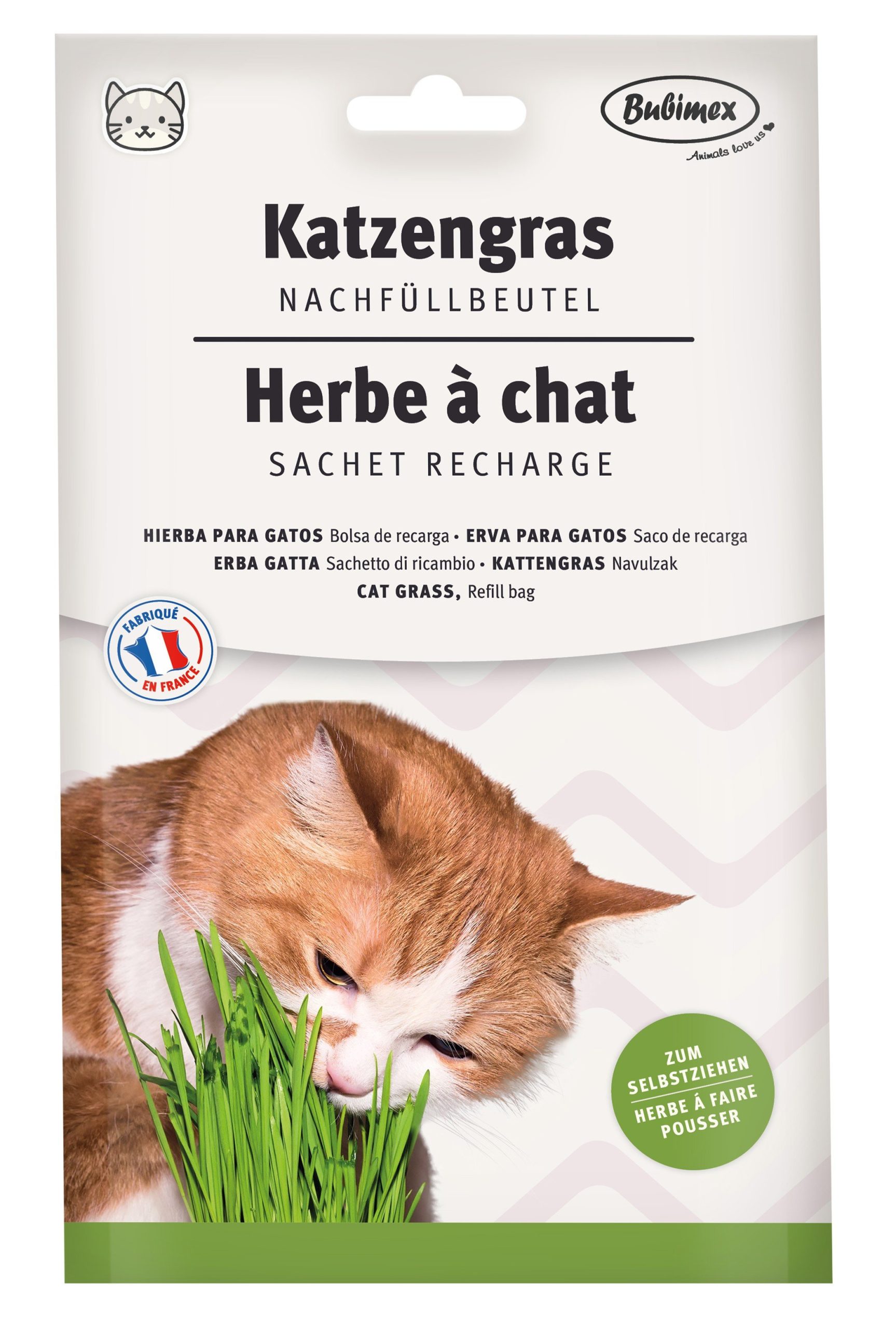 Recarga de hierba para gatos 100g 24