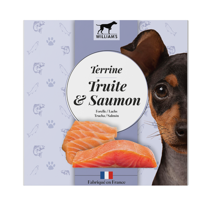 DOG Tarrina Human Grade - Trucha&Salmón 80g 12
