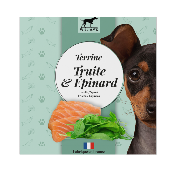 DOG Tarrina Human Grade - Trucha&Espinaca 80g 12