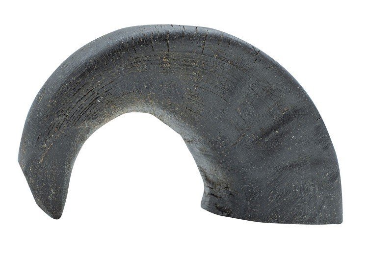 Cuerno de Bufalo S 80gr 10