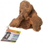 Raíces ECO del mediterraneo L (300-500g) 10