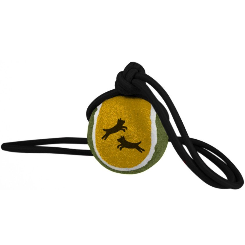 Pelota de tenis con cuerda 12