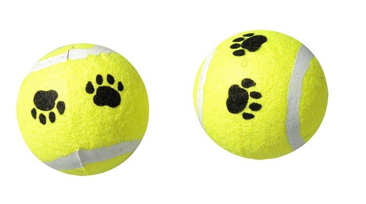 Pelota de tenis sin cuerda 12