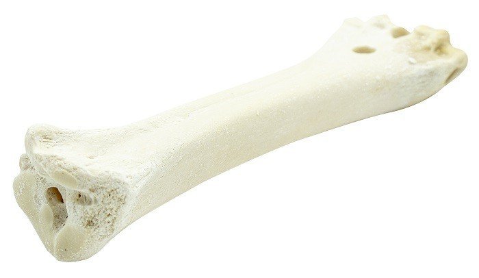 Hueso de calcio 160g 10