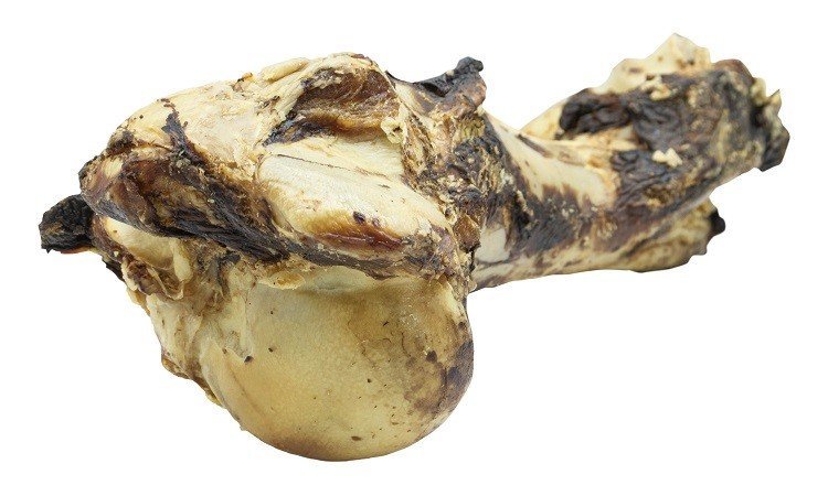 Hueso de mamut 1,1kg 4