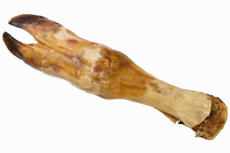 Pata de vaca seca (1 u) 10