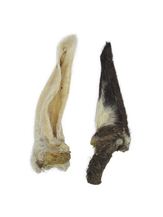 Oreja de cordero con pelo 1Kg 5