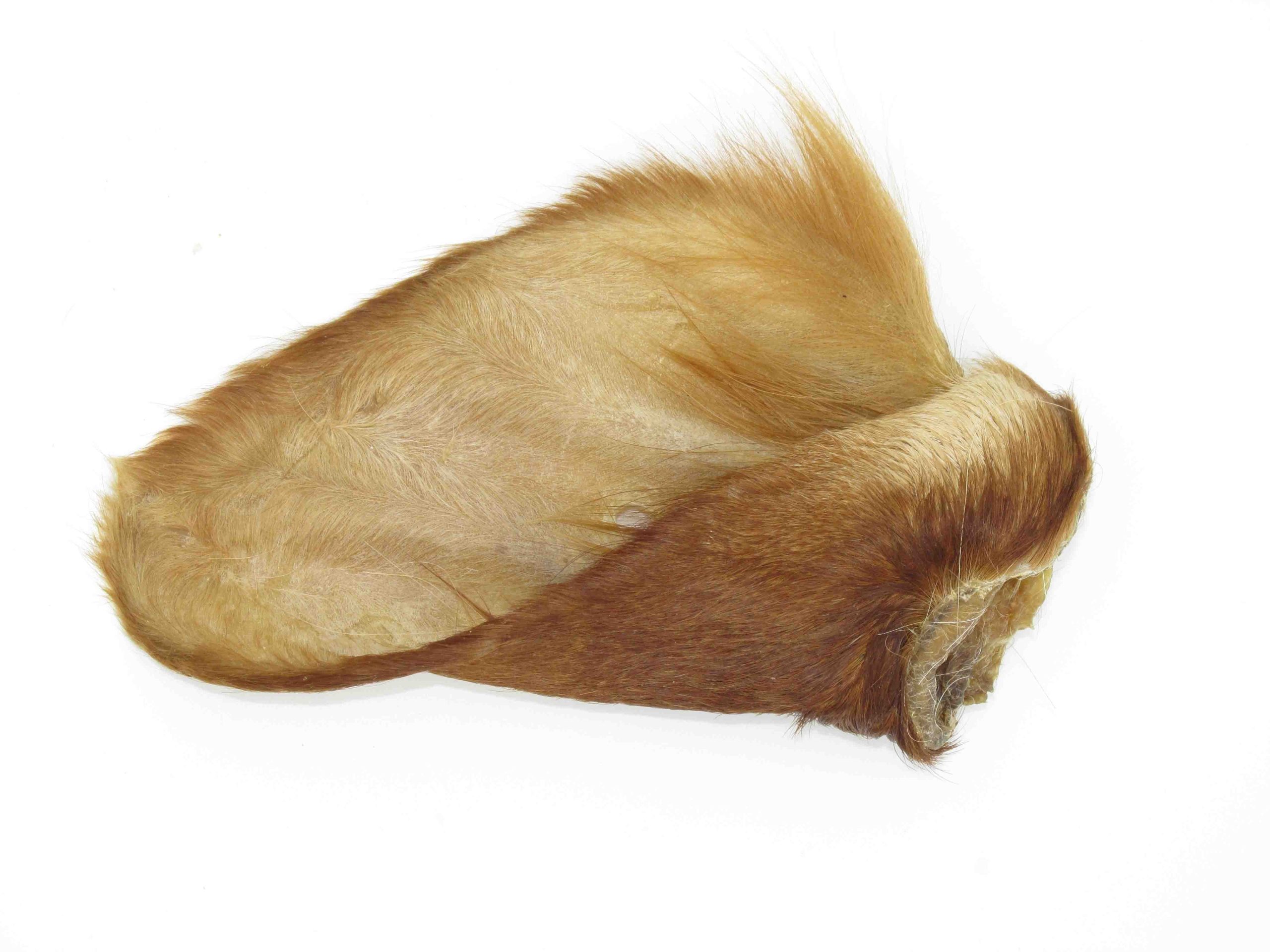 UNIT Oreja de buey con pelo 60g (bolsa 25ud) 25