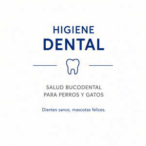 Higiene dental