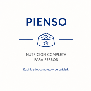 Pienso para perros