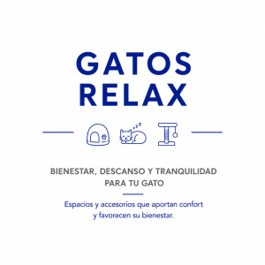 Gatos salud