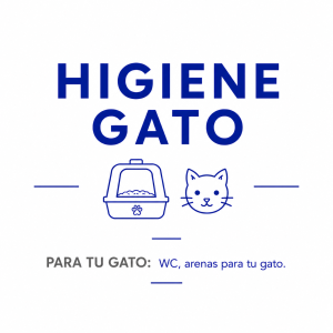 Gatos higiene casa